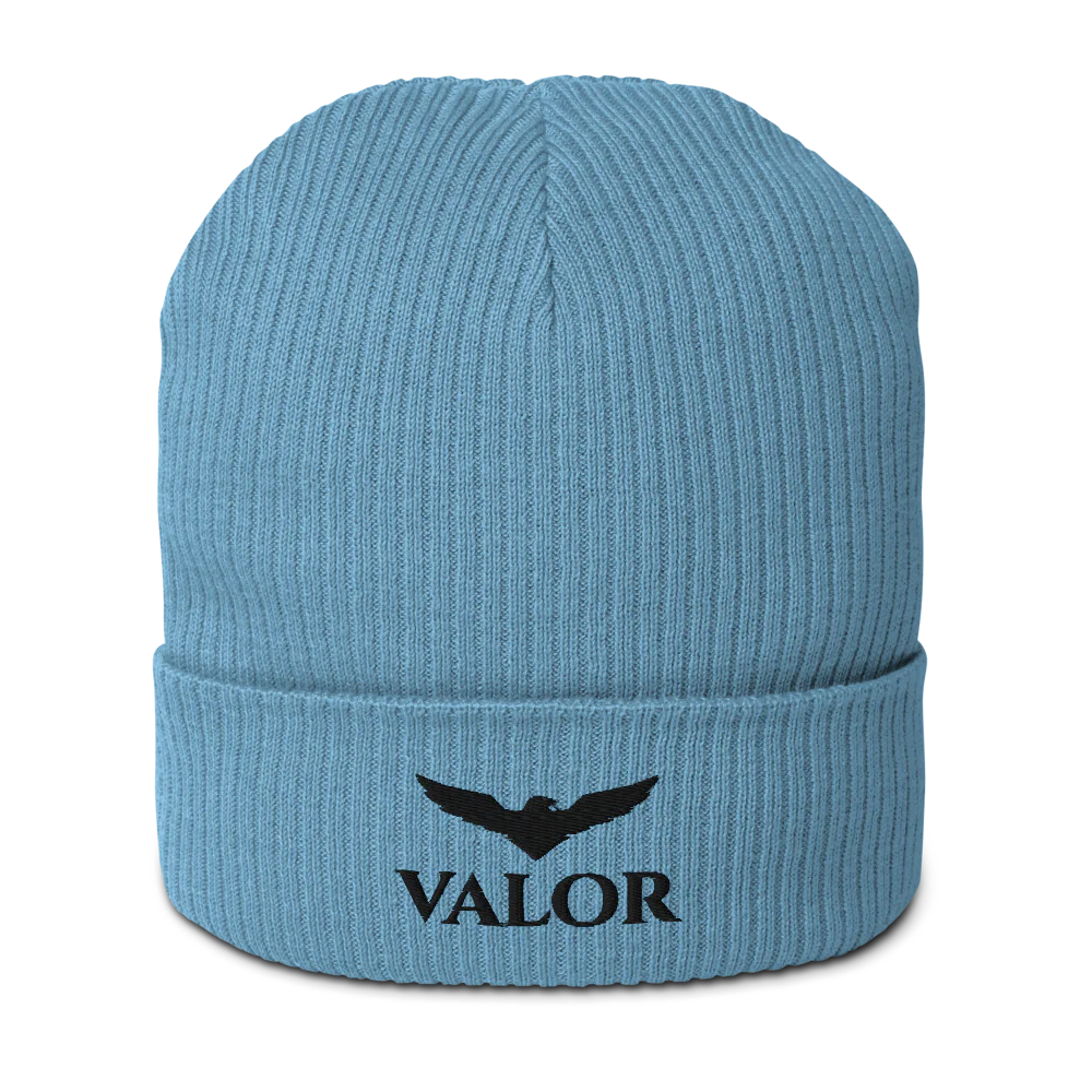 Organic Ribbed Beanie | Atlantis