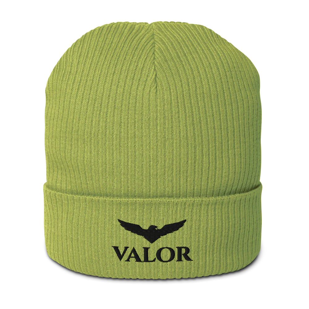 Organic Ribbed Beanie | Atlantis