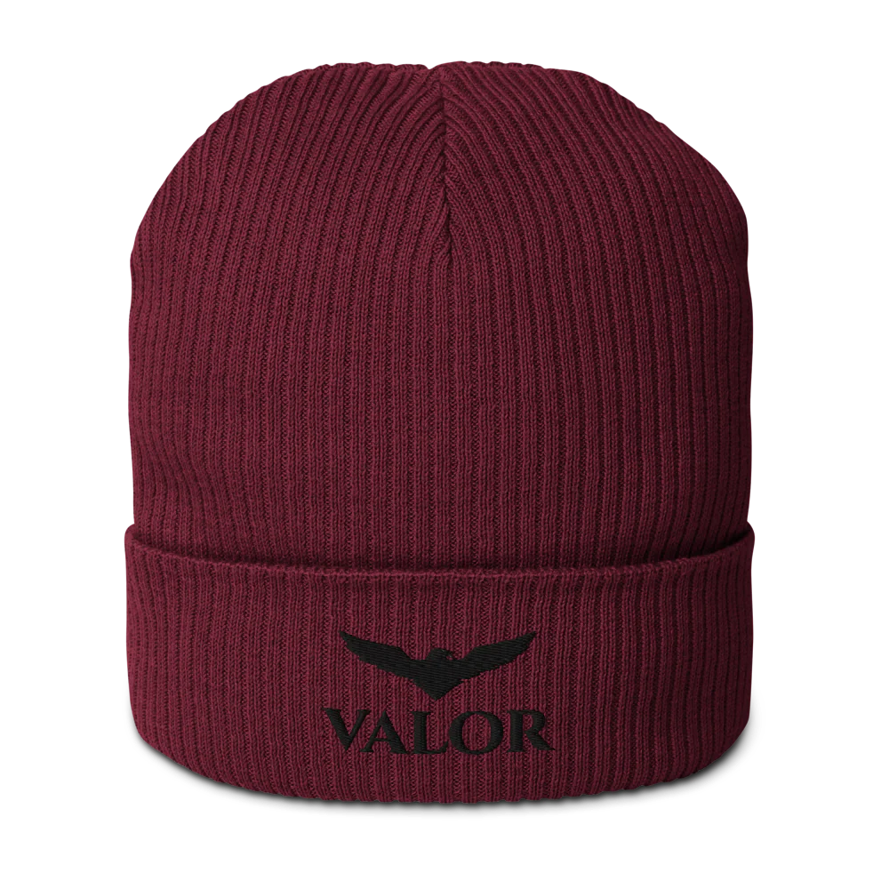 Organic Ribbed Beanie | Atlantis