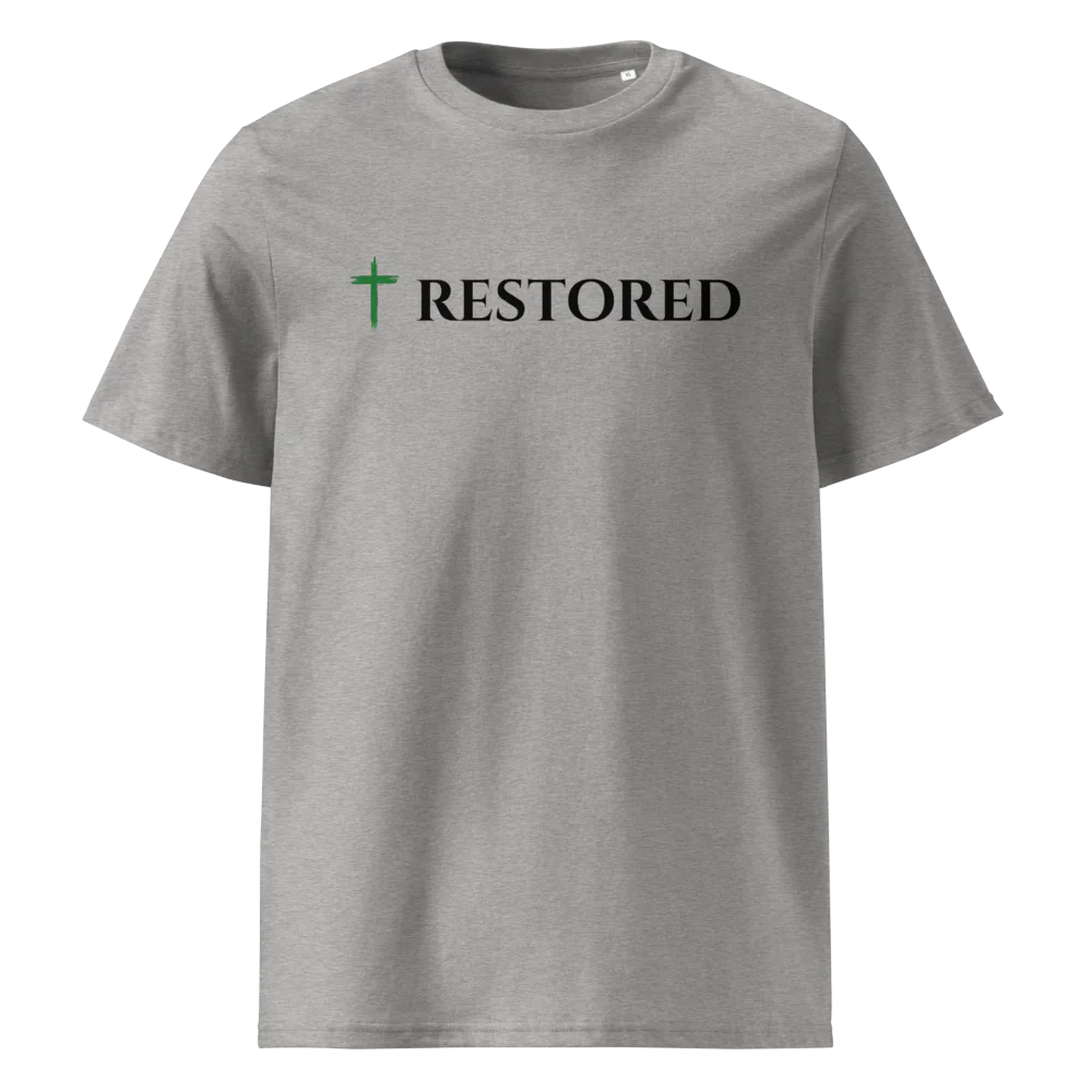 Unisex Organic Cotton T-Shirt | Stanley/Stella STTU169