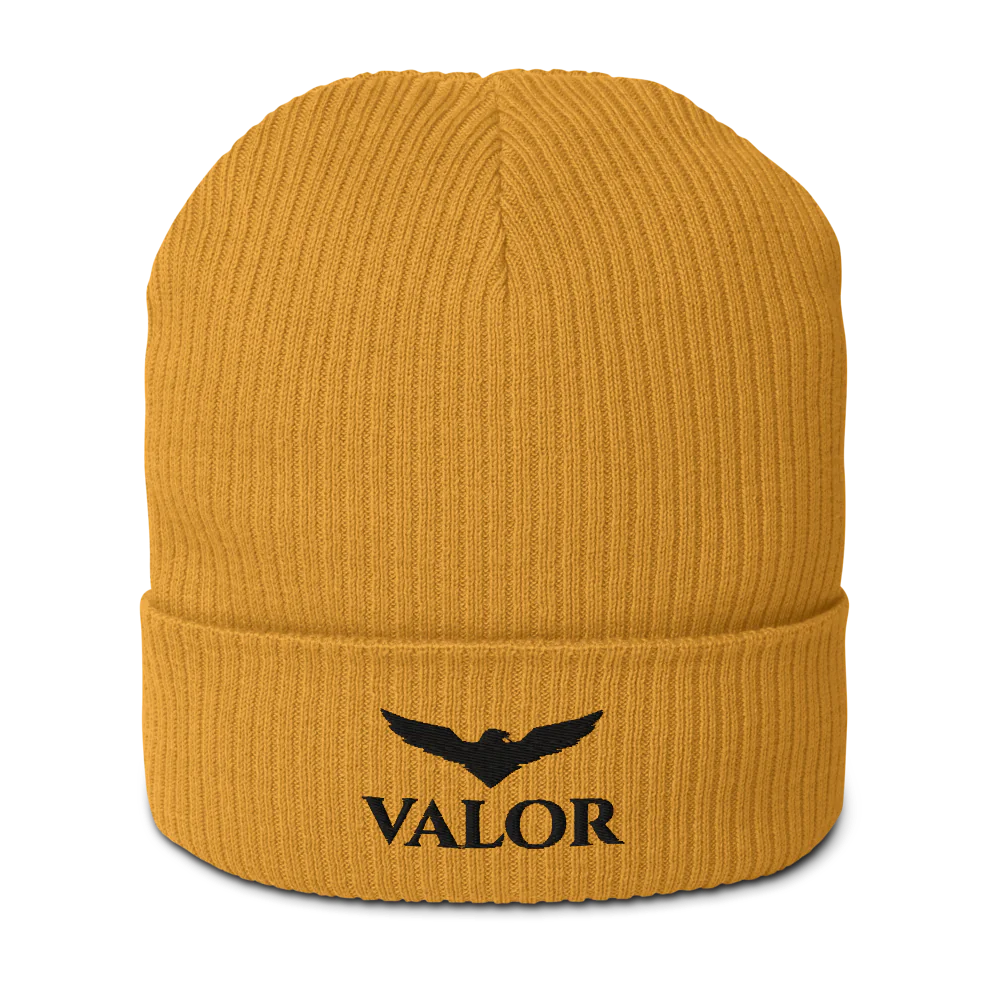 Organic Ribbed Beanie | Atlantis