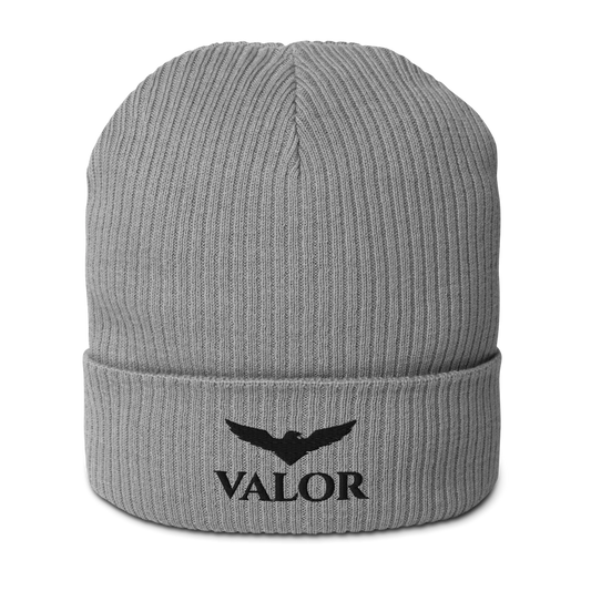 Organic Ribbed Beanie | Atlantis