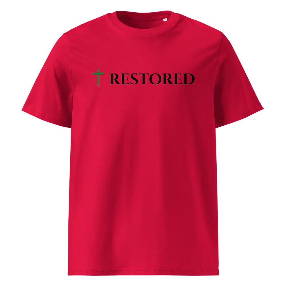 Unisex Organic Cotton T-Shirt | Stanley/Stella STTU169
